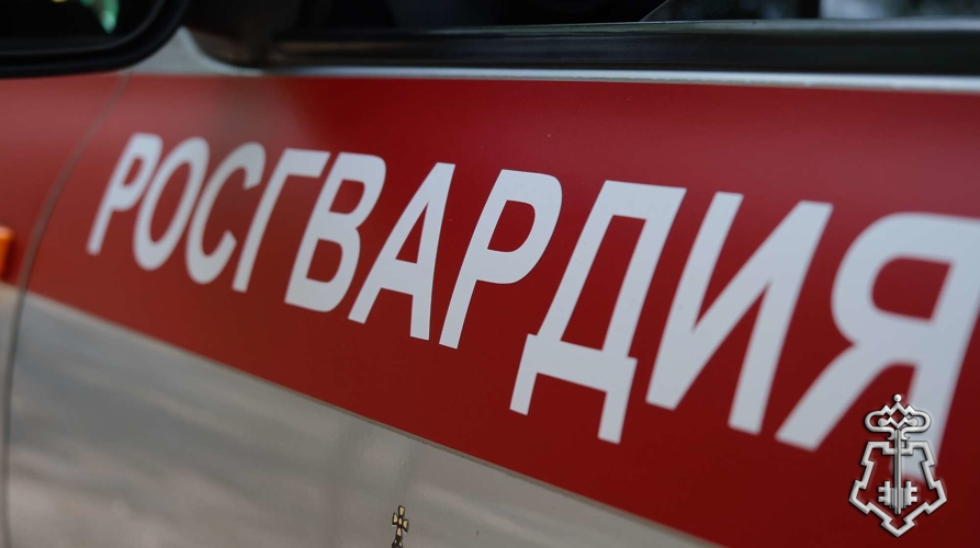 Патруль Росгвардии задержал нетрезвого водителя в Тамбовской области