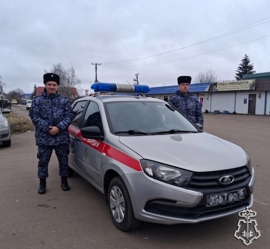 Экипаж Росгвардии задержал подозреваемого, повредившего автомобиль в Тамбовской области
