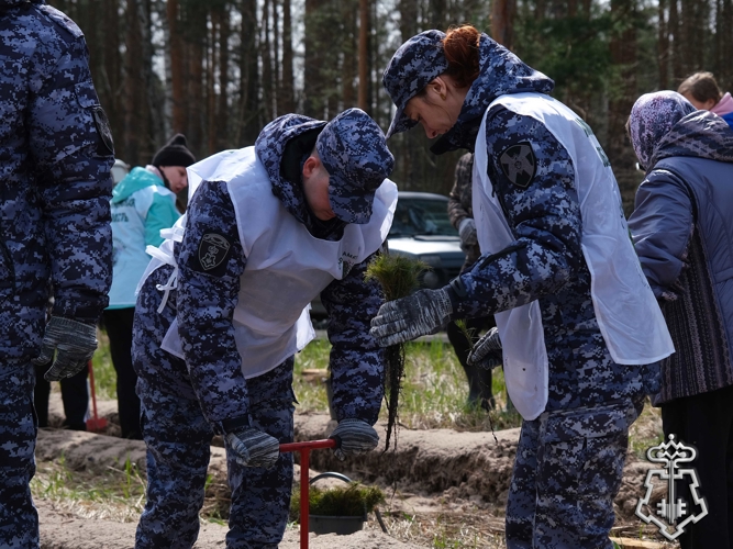 Росгвардейцы посадили молодые деревья в Тамбовской области в рамках международной акции «Сад памяти»
