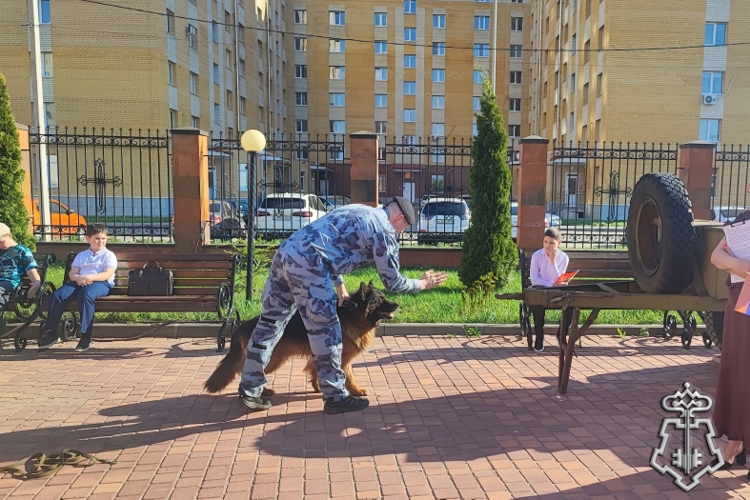 Росгвардейцы приняли участие в праздничном мероприятии, посвященном Дню Победы в Тамбове