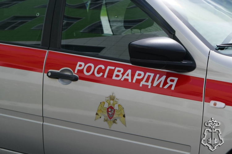 Сотрудники Росгвардии задержали подозреваемую в краже товаров из магазина в Тамбове